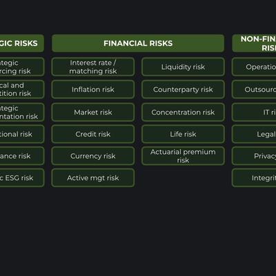 ESG Risk Management