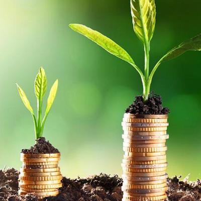 Sustainable Finance